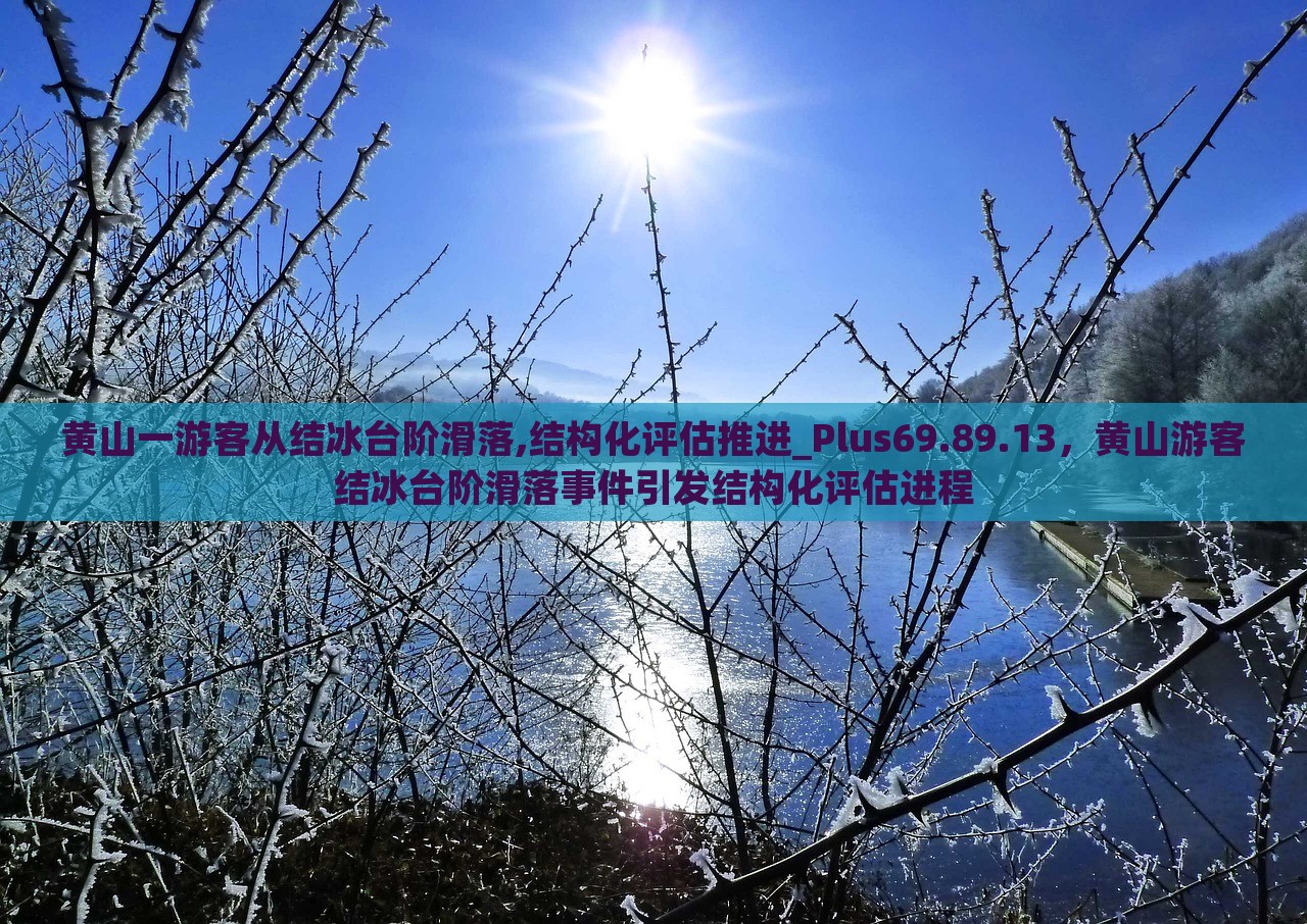 黄山一游客从结冰台阶滑落,结构化评估推进_Plus69.89.13，黄山游客结冰台阶滑落事件引发结构化评估进程，黄山游客结冰台阶滑落事件，结构化评估启动与应对